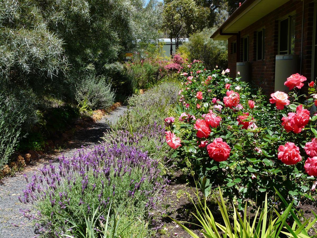 Country Charm Retreat B&B Donnybrook Dış mekan fotoğraf